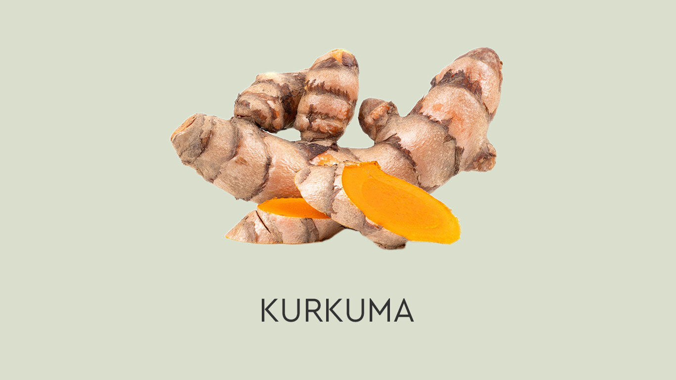 Picture of turmeric on a green background with caption: KURKUMA.